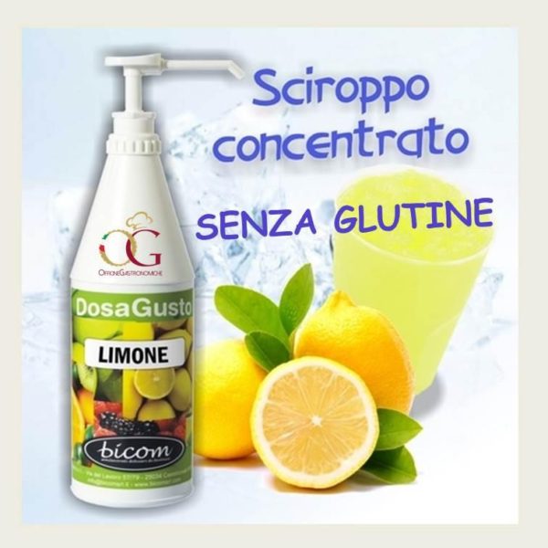 Insaporitore Limone kg. 1